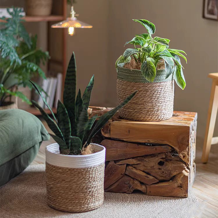 Woven Basket with Colored Rim
