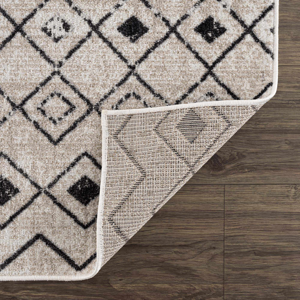 Joppatowne Washable Area Rug - Clearance