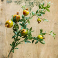 Big Fruit Faux Pomegranate Stem 32" Tall