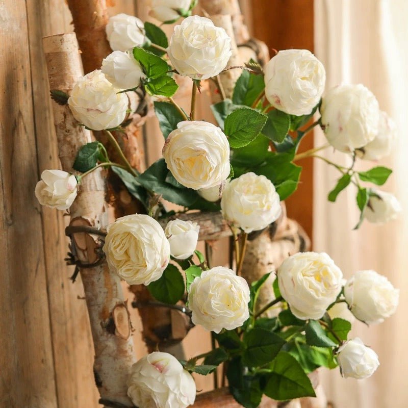 White Cabbage Rose Stem 20.8" Tall