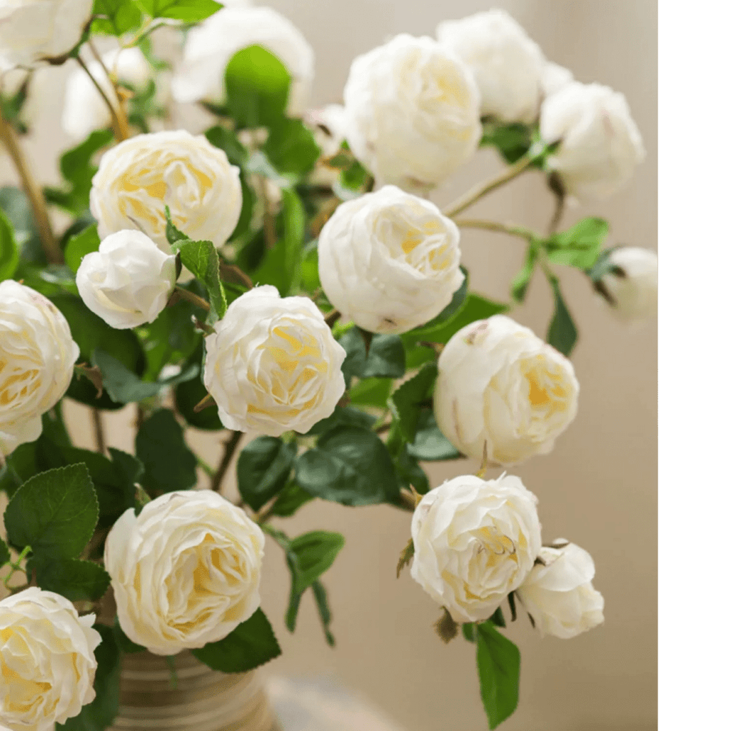 White Cabbage Rose Stem 20.8" Tall