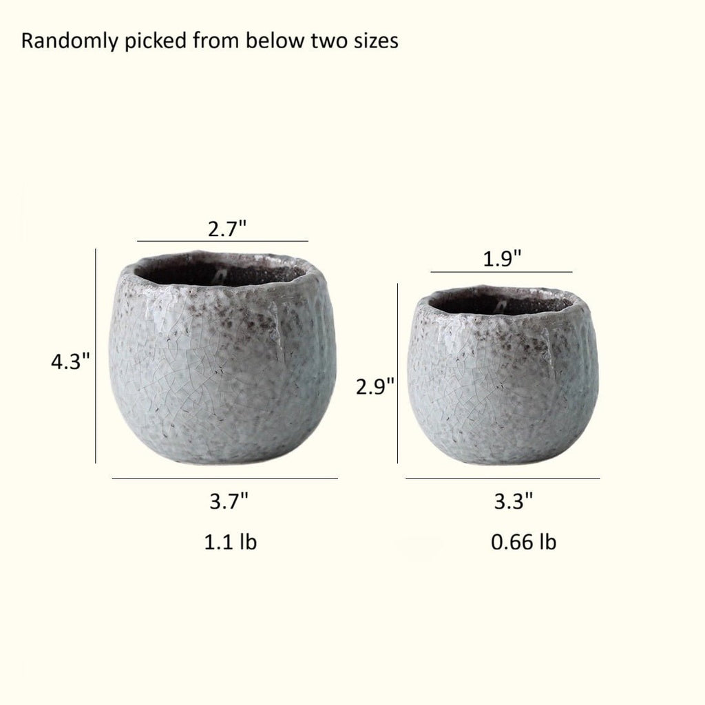Crackle Glazed Succulent Pot Randomly Picked Set of 5