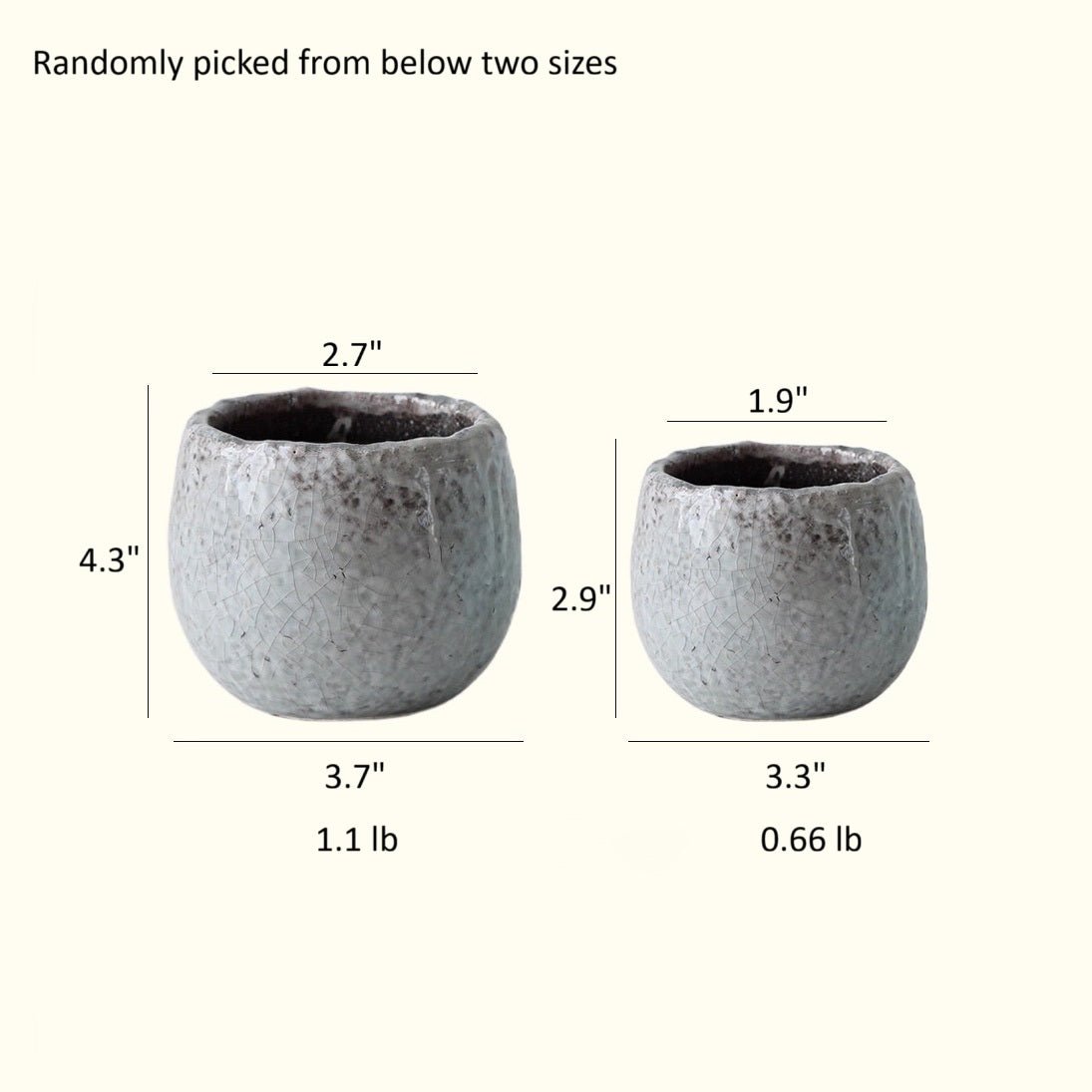 Crackle Glazed Succulent Pot Randomly Picked Set of 5
