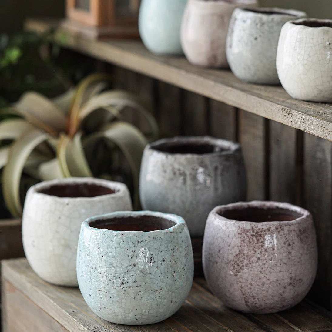 Crackle Glazed Succulent Pot Randomly Picked Set of 5