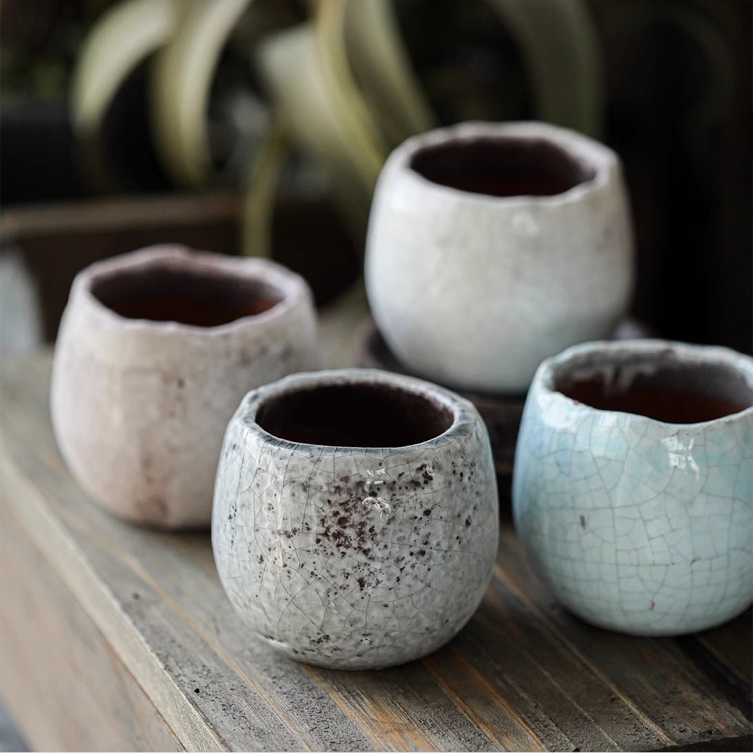 Crackle Glazed Succulent Pot Randomly Picked Set of 5
