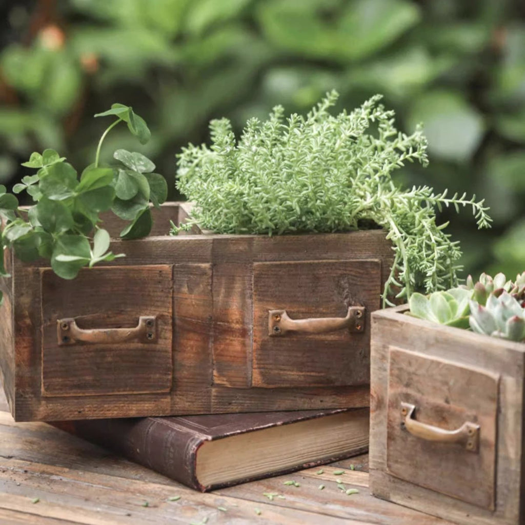 Farmhouse Wooden Box for Succulents or Flowers