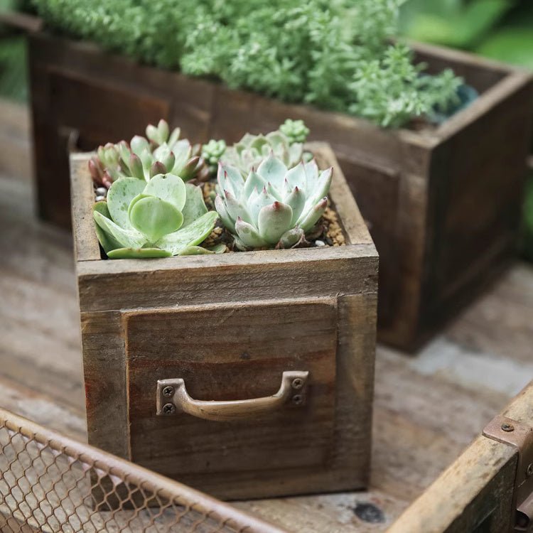 Farmhouse Wooden Box for Succulents or Flowers