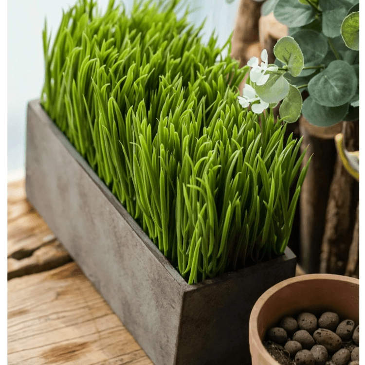 Faux Grass in Black Pot