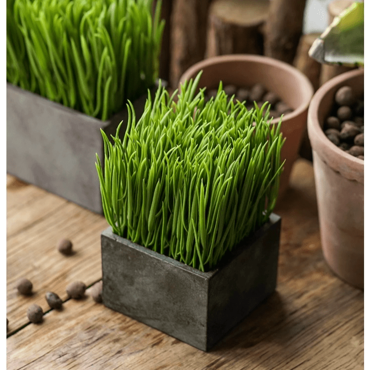 Faux Grass in Black Pot