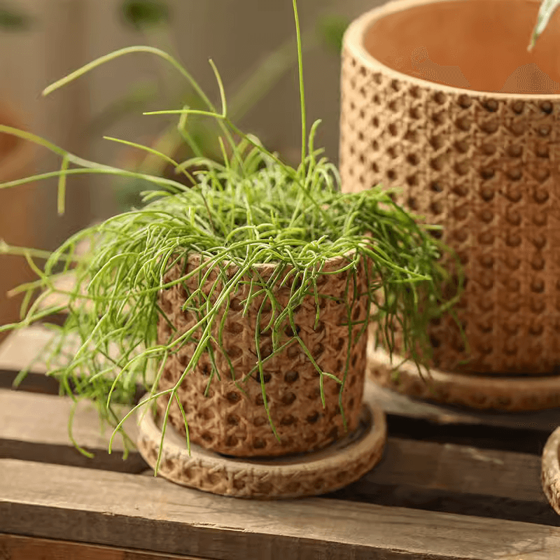 Faux Woven Grid Cement Pot