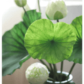 Artificial Lotus Flower and Seedpod