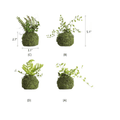 Mossy Meadow Foam Ball