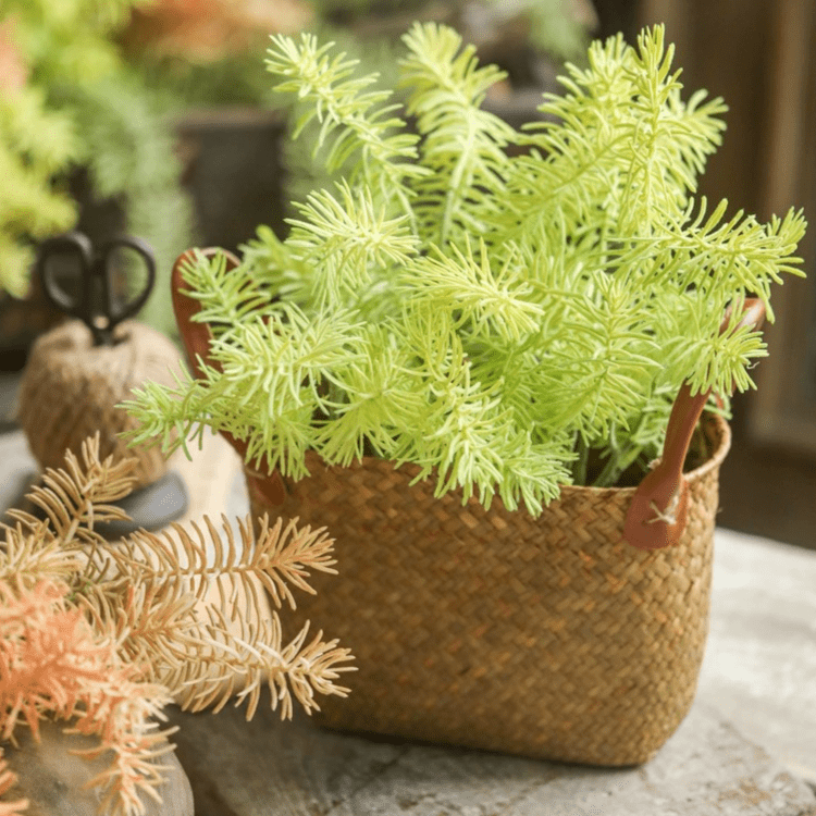 Faux Pine Leaf Stem 17.7" Tall