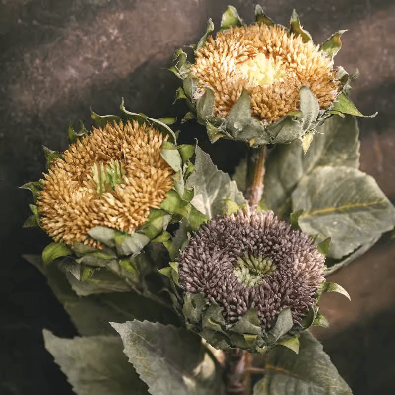 Artificial Small Head Sunflower Stem 23.6" Tall