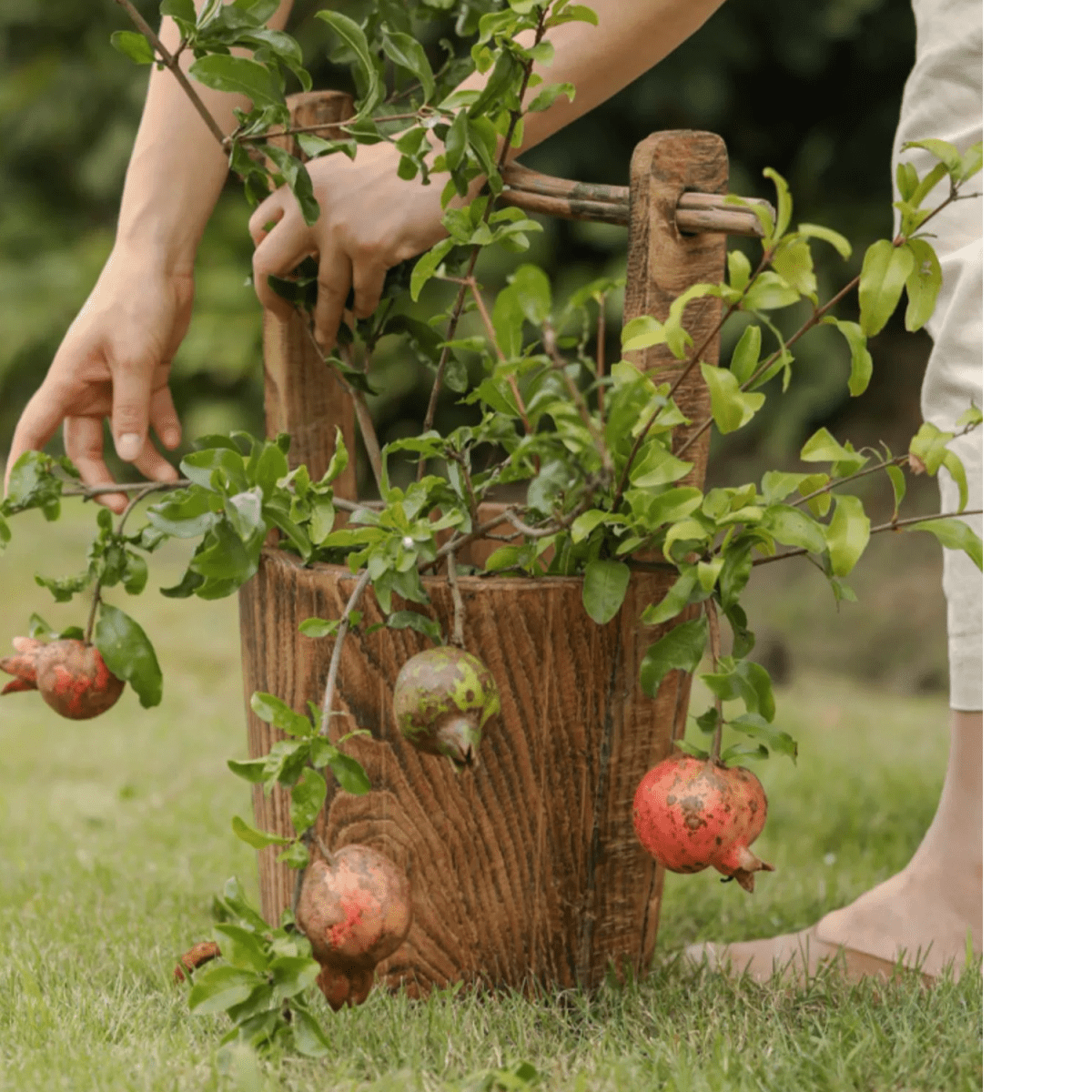 Old-fashioned Wooden Round Bucket