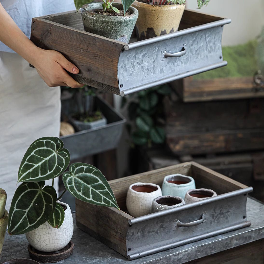 Rustic Wood and Metal Garden Tray Planter