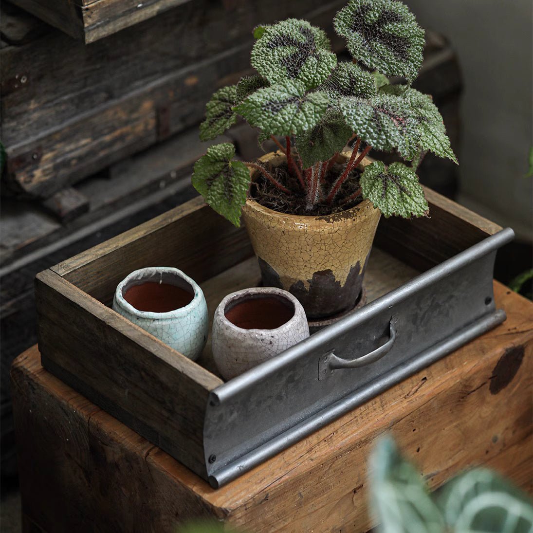Rustic Wood and Metal Garden Tray Planter