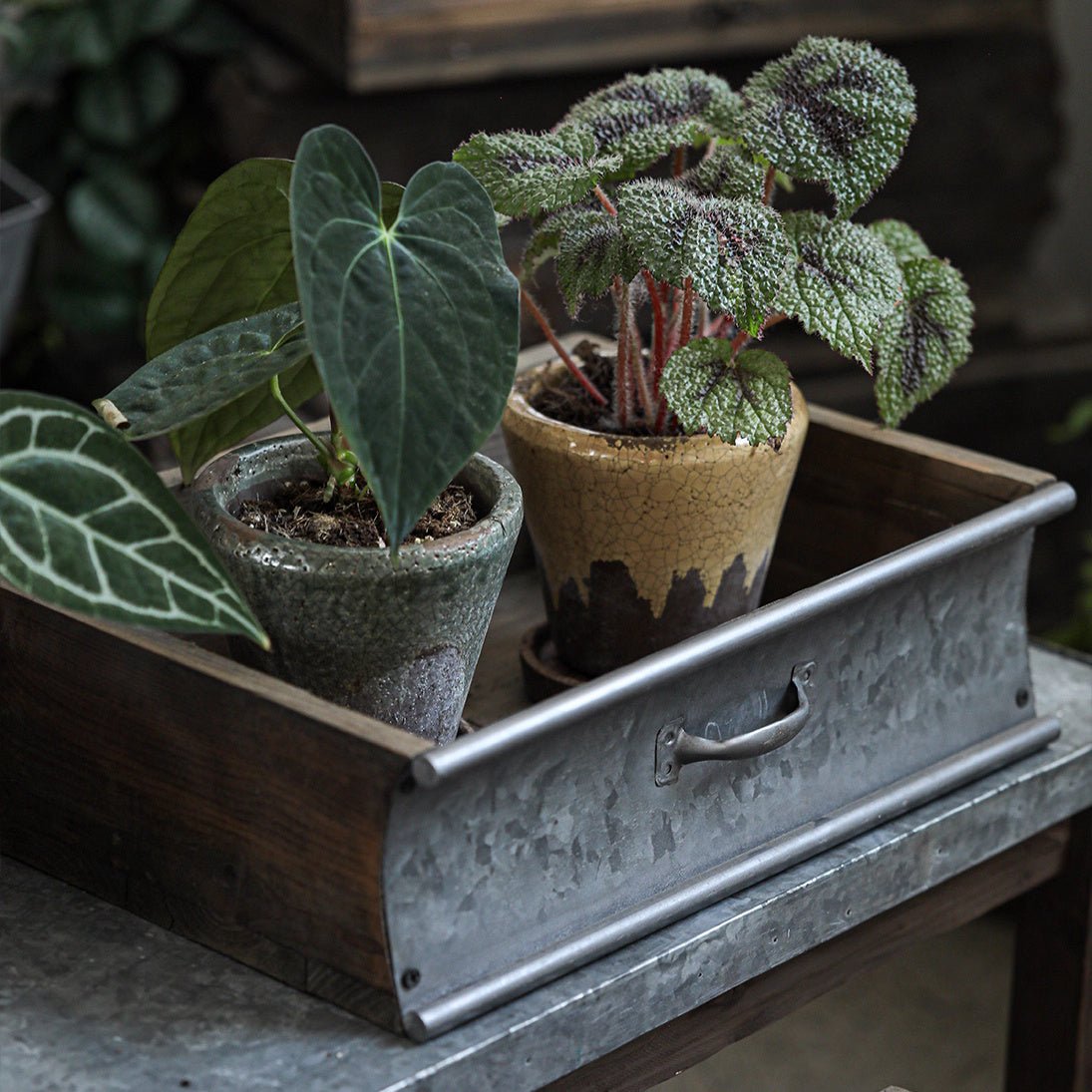 Rustic Wood and Metal Garden Tray Planter