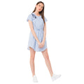 Stripy Shirt Dress