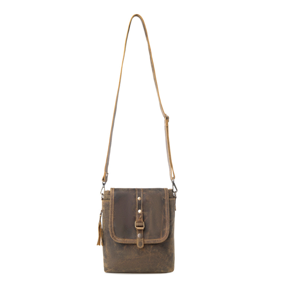 Brown Beauty Leather Bag