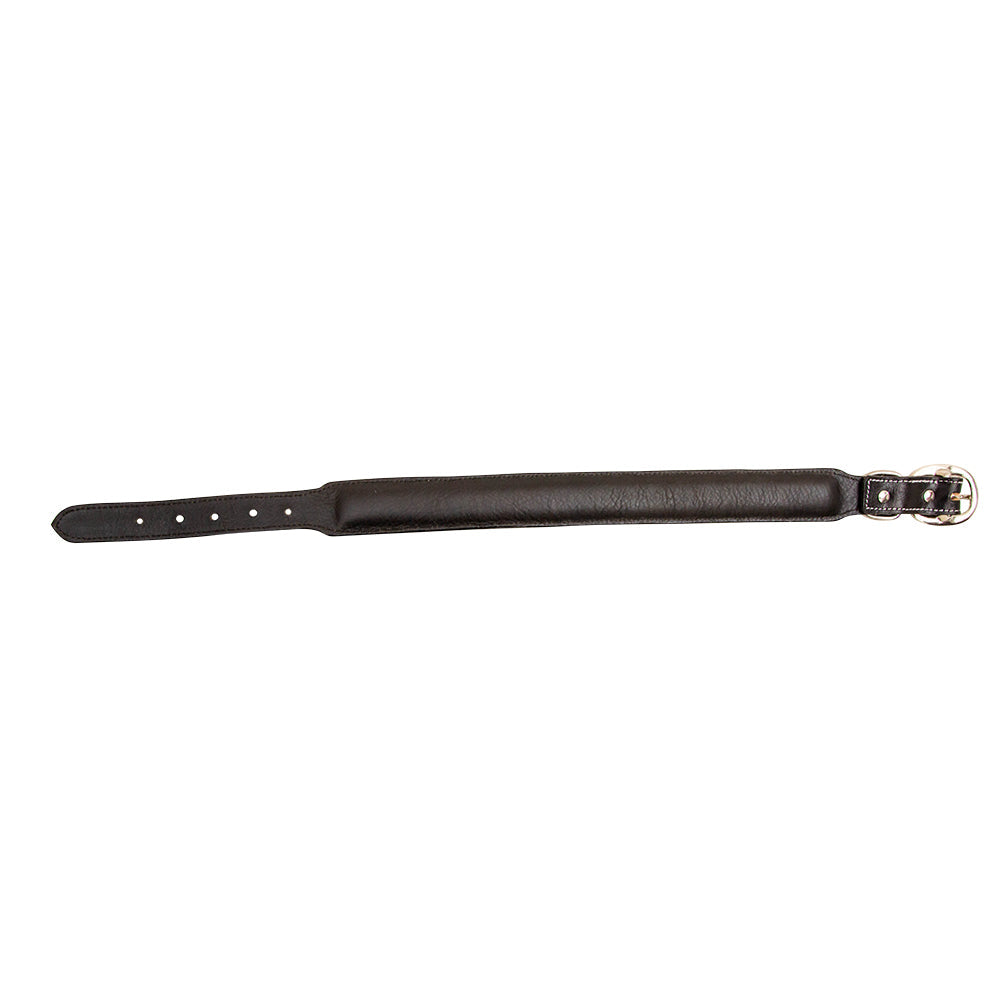 Hotshots Hand-Tooled Leather Dog Collar