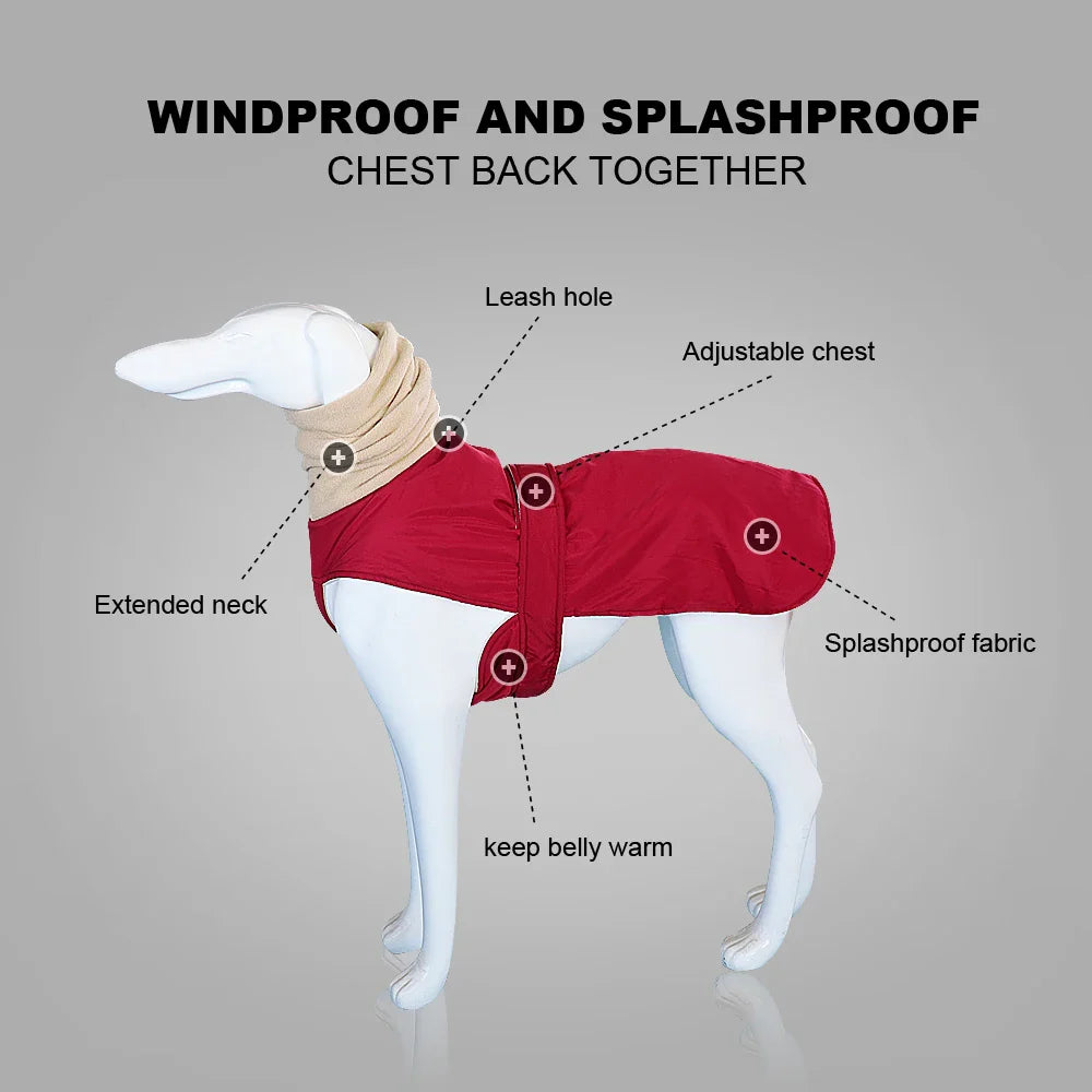Arctic Paws: Cozy Waterproof Jacket for Big Dogs