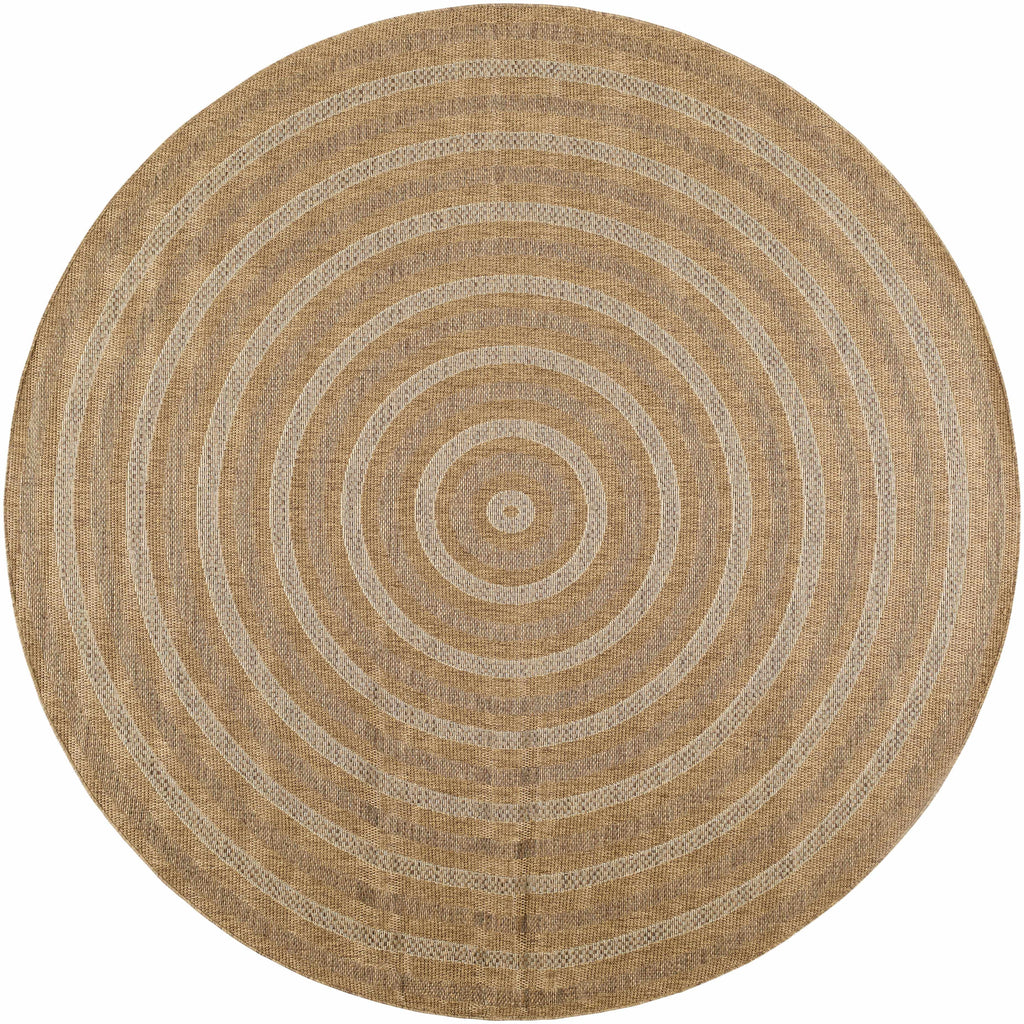 Dyami Flatweave Faux Jute Outdoor Rug