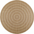 Dyami Flatweave Faux Jute Outdoor Rug