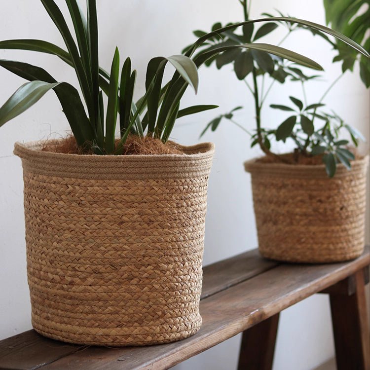 Natural Cylinder Storage and Planter Basket