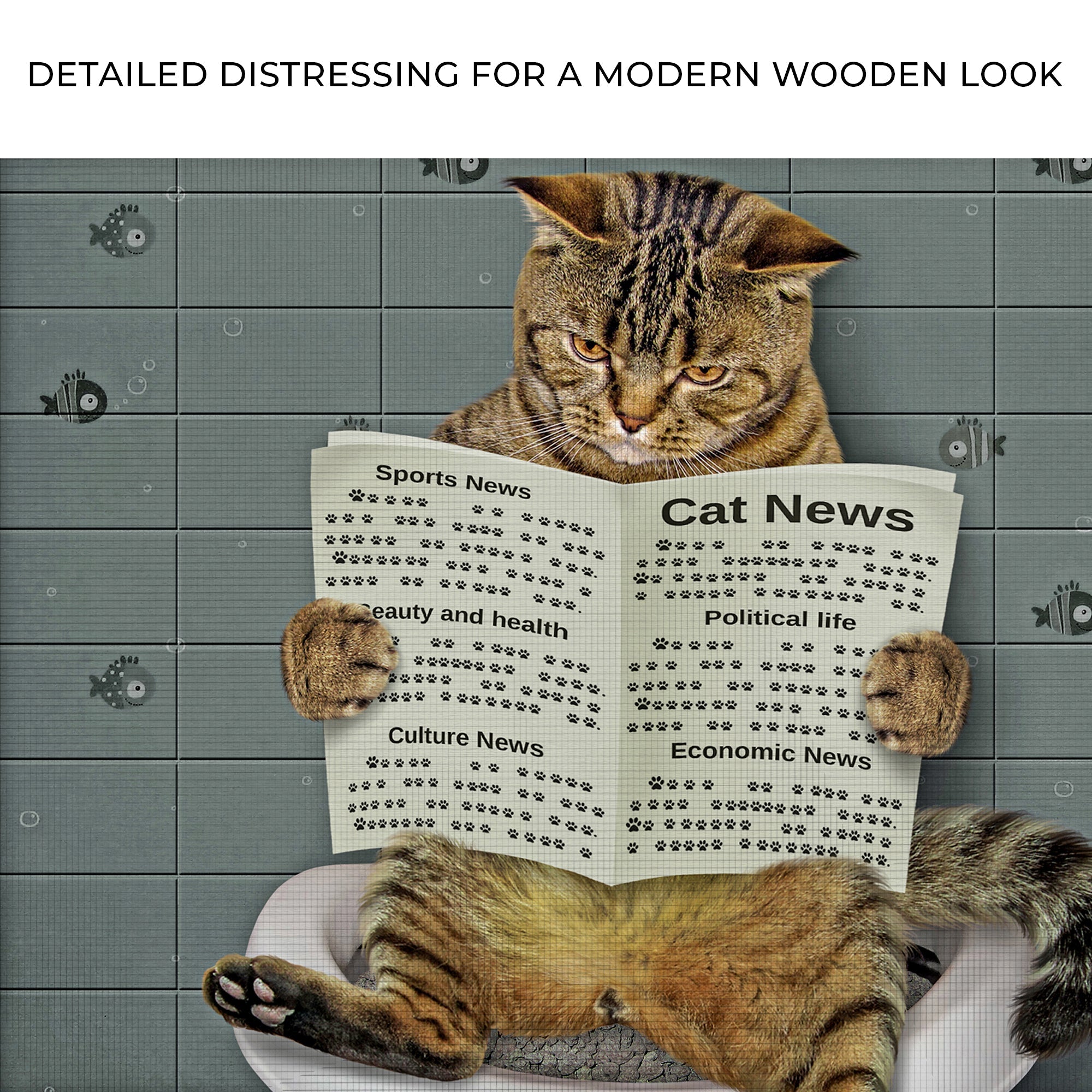 Cat Toilet Reading Newspaper Canvas Wall Art