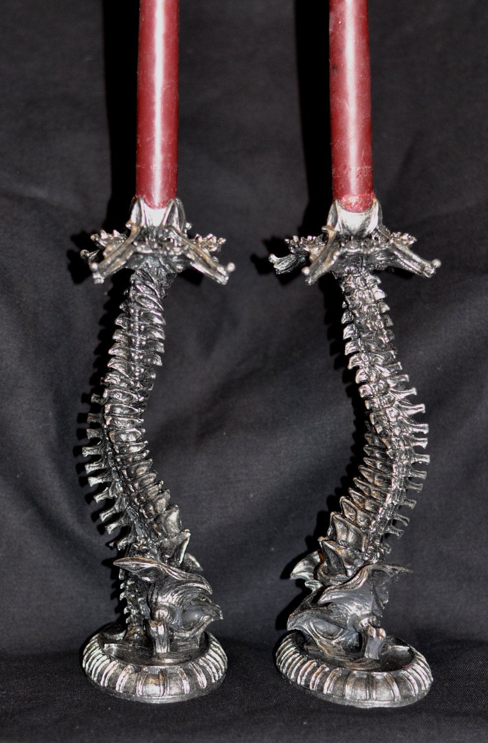 Helix Ossuary Candlestick holders, pair