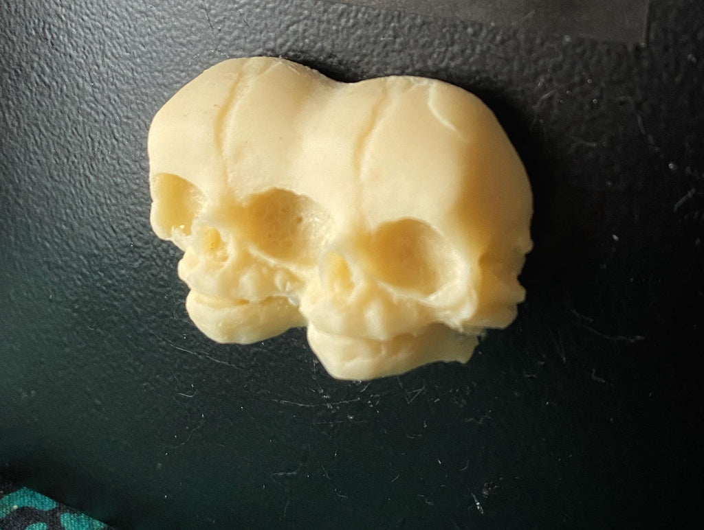 Conjoined Twins Skull  Magnet, Hand Painted Resin Sculpture | Gothic Fantasy Decor | Conjoined Skull Magnet for Fantasy and Gothic Decor