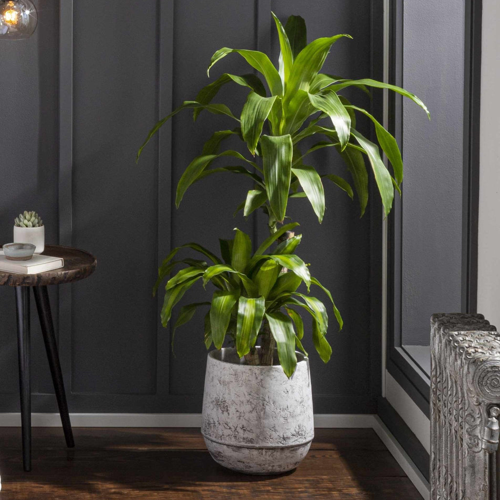 Janamuato White Geometric Cement Outdoor Planter