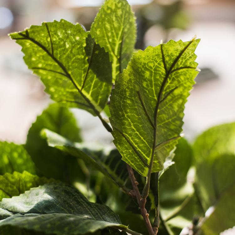 Artificial Hydrangea Leaf Stem 17" Tall