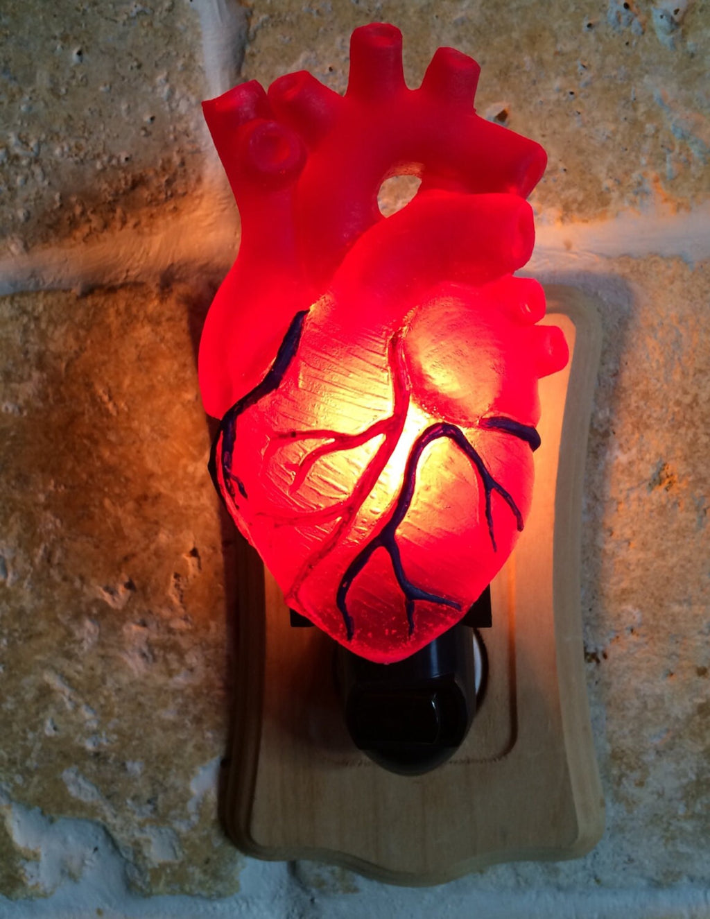 Anatomical Heart Nightlight, Hand Painted Resin Sculpture | Gothic Night Light |  Human HeartLighting for Gothic Fantasy Home Decor