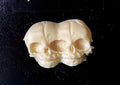 Conjoined Twins Skull  Magnet, Hand Painted Resin Sculpture | Gothic Fantasy Decor | Conjoined Skull Magnet for Fantasy and Gothic Decor