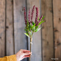 Buddleja Butterfly Bush Bundle 18" Tall