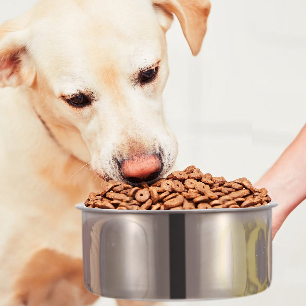 Stainless Steel Dog Bowl, Hanging Pet Food & Water Bowl with Clamp Holder, Detachable Cage Feeding Bowl