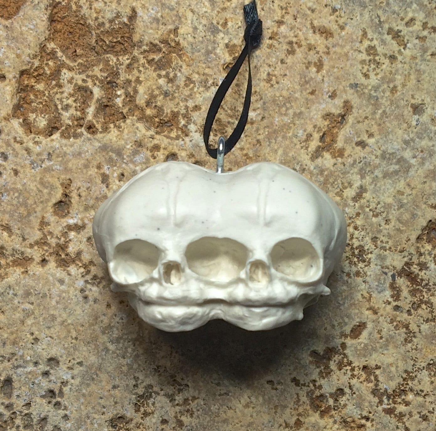 Conjoined Twins Fetal Skull Ornament, Resin Sculpture | Gothic Fantasy Skull Figurine |Conjoined Skull Ornament for Fantasy and Gothic Decor