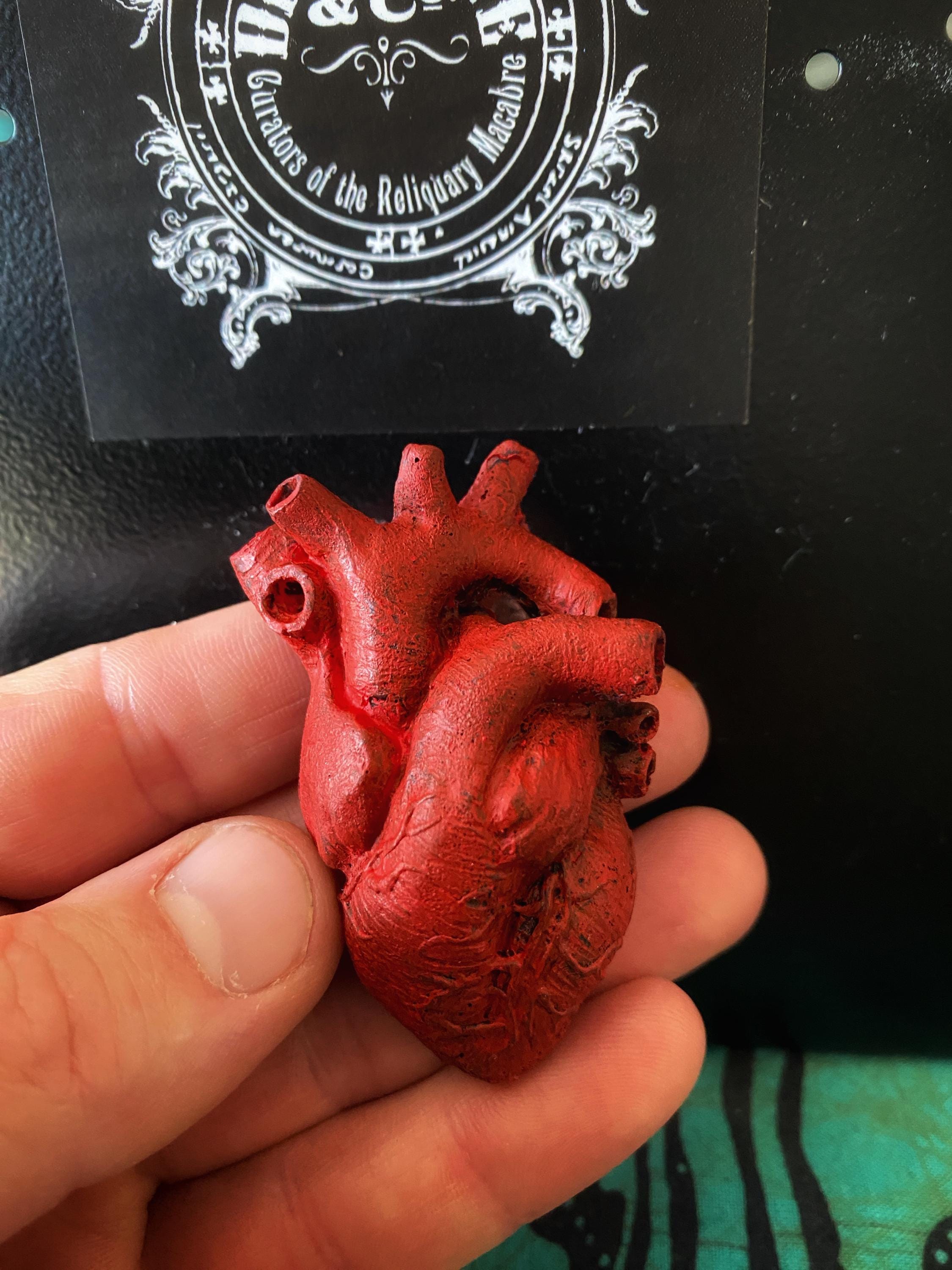 Anatomical Heart Magnet, Hand Painted Resin Sculpture | Gothic Fantasy Decor | Heart Magnet for Fantasy and Gothic Decor