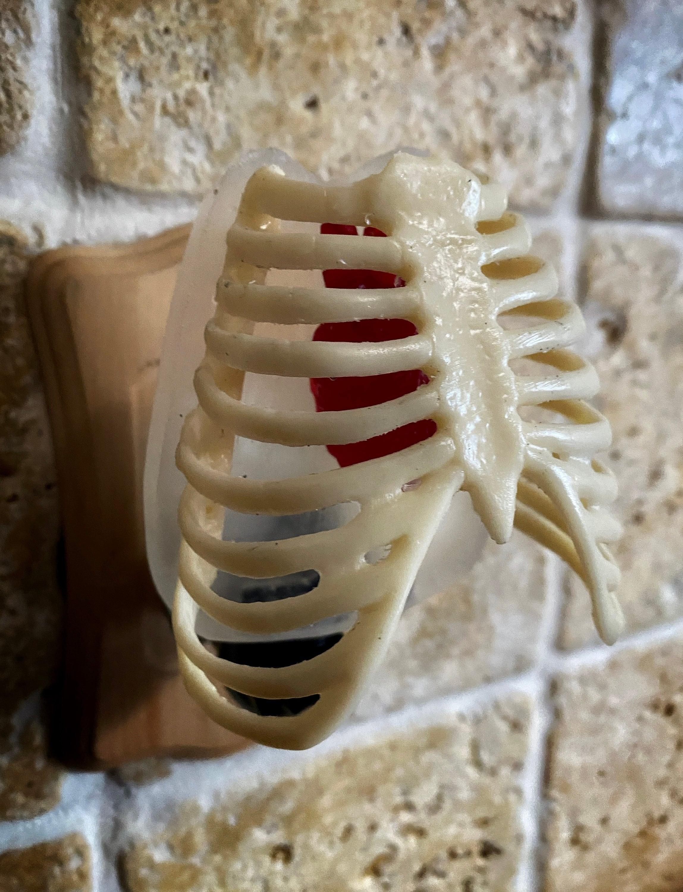 Rib Cage and Heart Nightlight, Hand Painted Resin Sculpture | Gothic Night Light |  Human Anatomy Lighting for Gothic Fantasy Home Decor