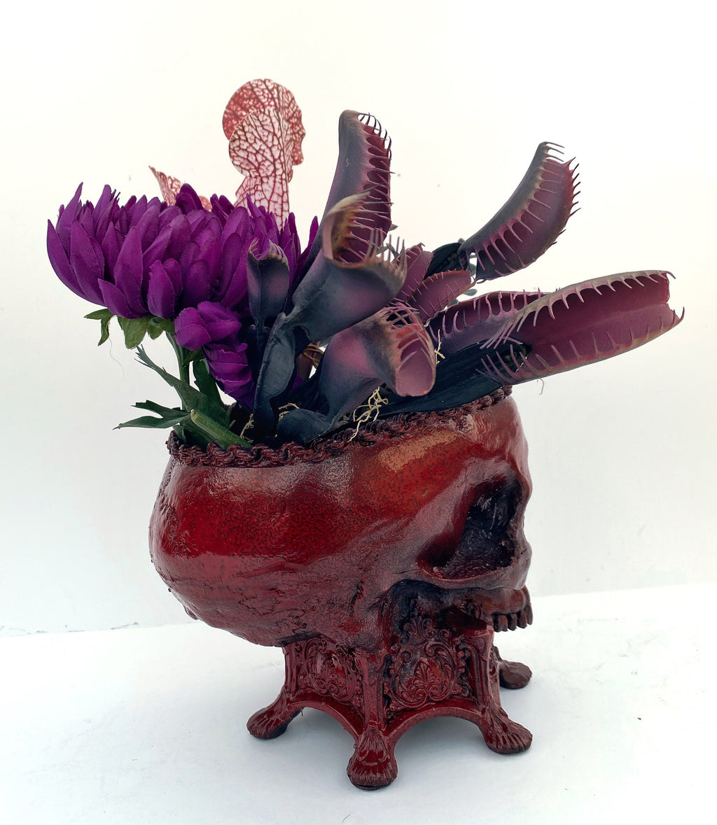 Human Skull Planter Blood Red Finish, Hand Painted Resin Sculpture | Unique Gothic Home Decor | Spooky Art Gift and Gothic Home Decor