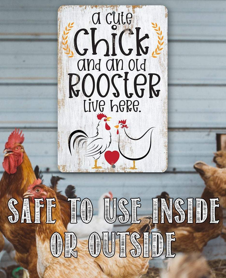 A Cute Chick and an Old Rooster Live Here - Metal Sign