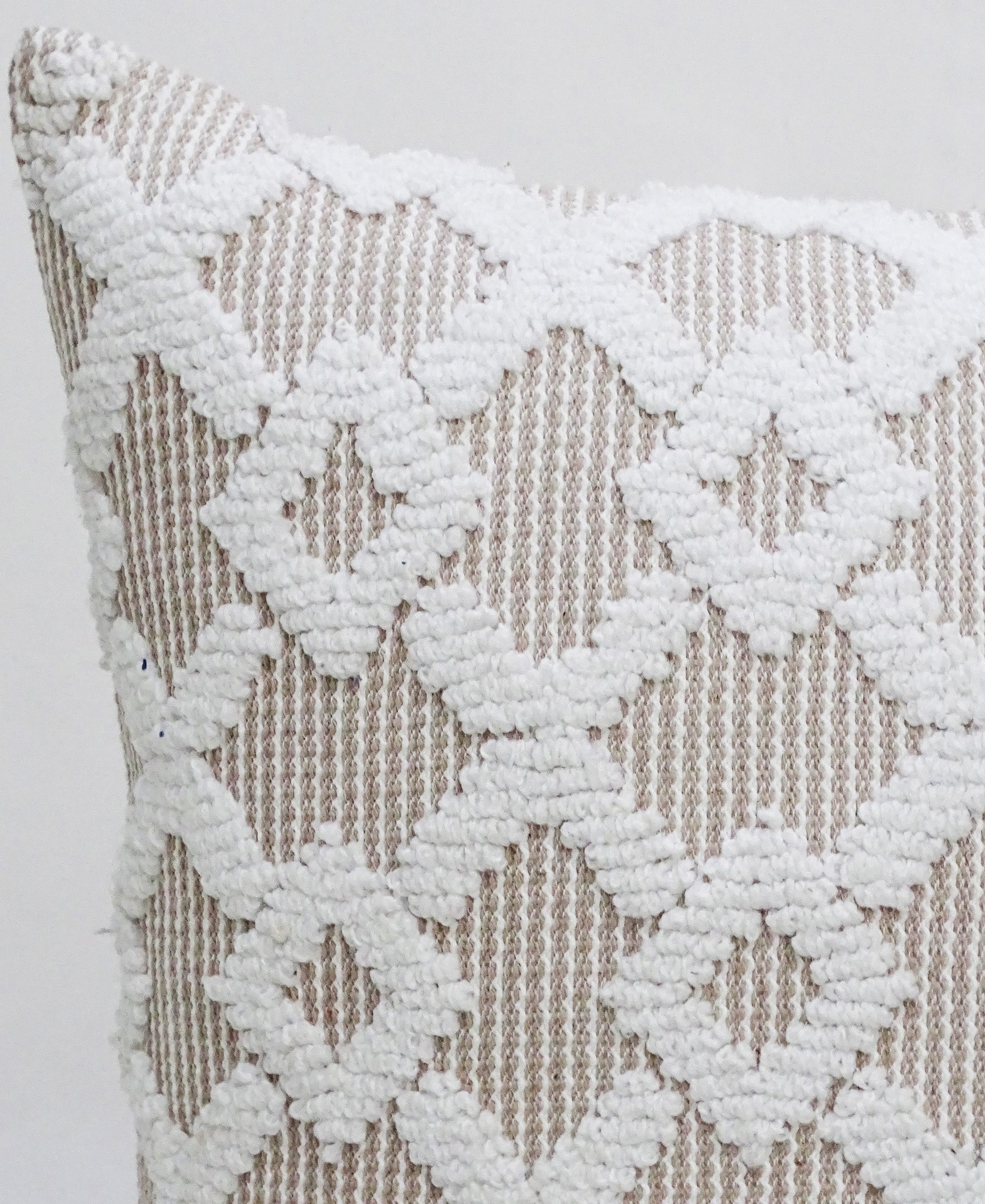 Decorative Beige Accent Throw Pillow  20"x20"