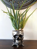 Human Skull Planter Pewter Finish, Hand Painted Resin Sculpture | Unique Gothic Home Decor | Spooky Art Gift and Gothic Home Decor