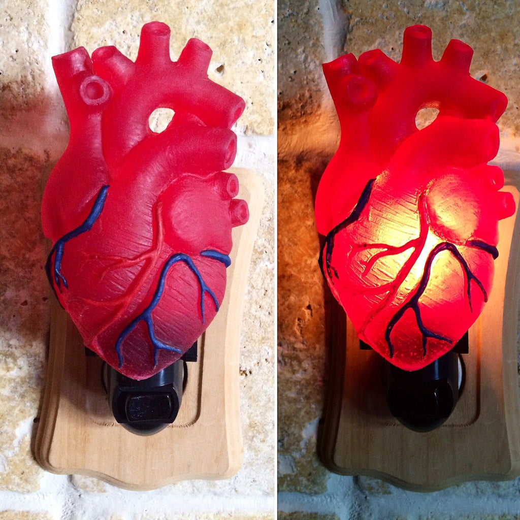 Anatomical Heart Nightlight, Hand Painted Resin Sculpture | Gothic Night Light |  Human HeartLighting for Gothic Fantasy Home Decor