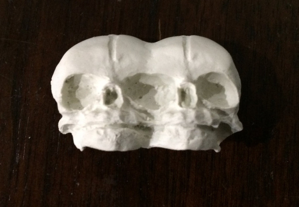 Conjoined Twins Skull  Magnet, Hand Painted Resin Sculpture | Gothic Fantasy Decor | Conjoined Skull Magnet for Fantasy and Gothic Decor
