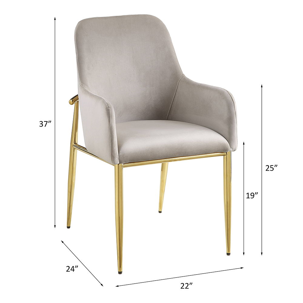Barnard - Side Chair (Set of 2) - Gray Velvet & Mirrored Gold