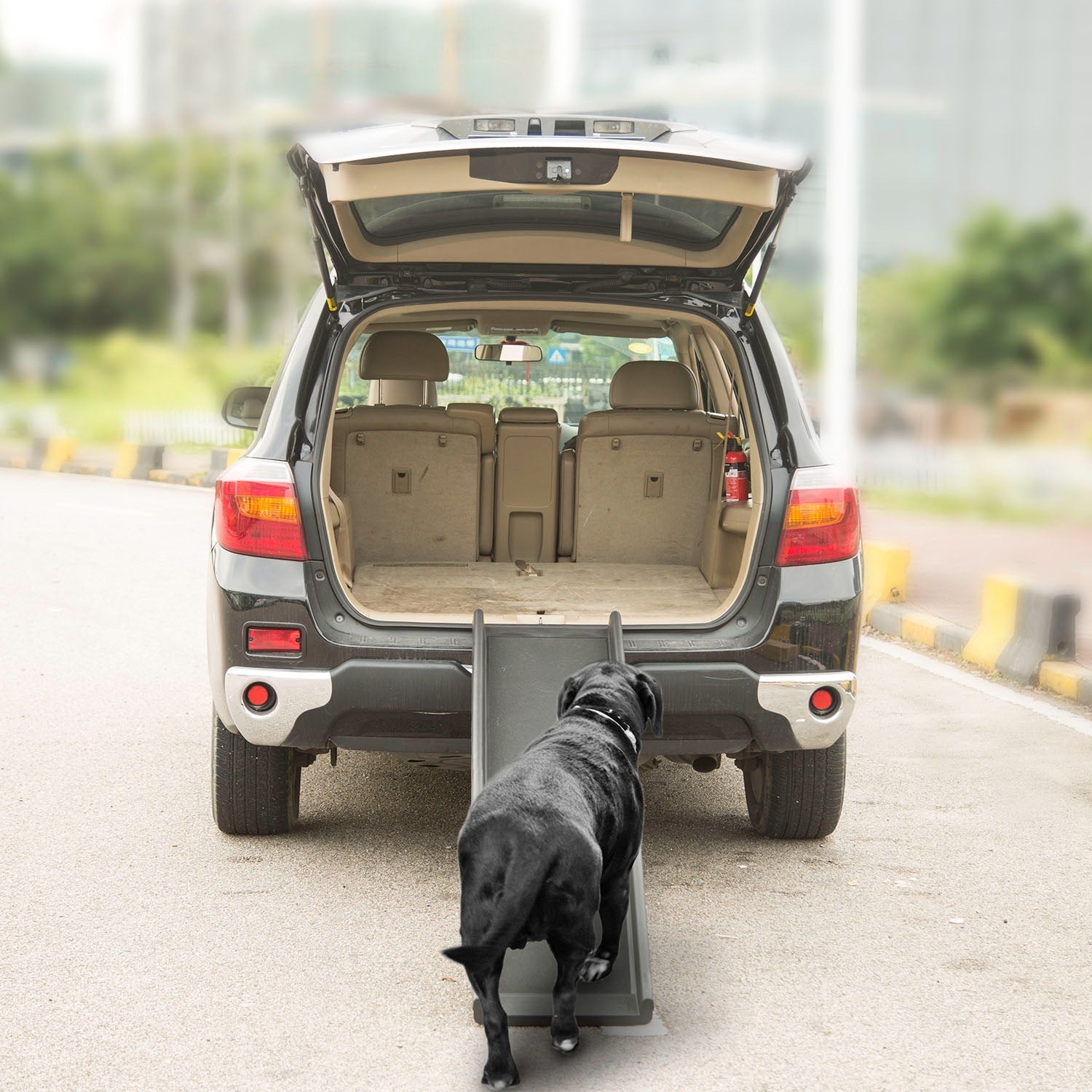 Foldable Pet Ramp Dog Car Ramp 176lbs Load Non-Skid Outdoor Travel Dog Car Ramp for Cars SUVs Trucks