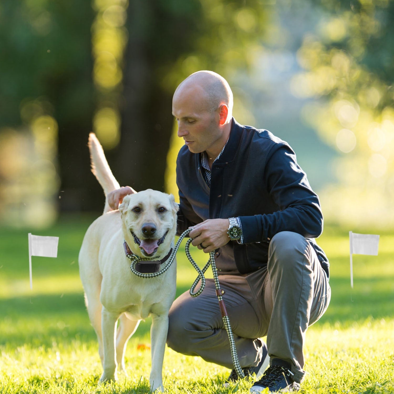 GBruno Electric Dog Fence System